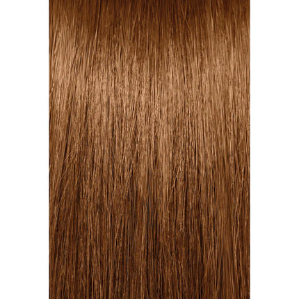 Paul Mitchell Color XG 7BG | 2 Pack | 90mL