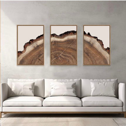 HPINUB Framed Tree Rings Wood Wall Art Set, Modern Beige Wood Stump Wall Décor, New Open Box