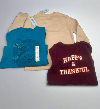 Boys’ 3-Pack Blue Dino, Beige “Here to Play” & Maroon “Happy & Thankful” Tops Size M (8) - New