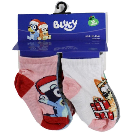 10pk 12-24m BLUEY XMAS JOY QUARTER SOCKS
