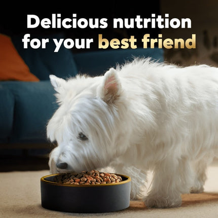 Cesar Porterhouse Flavor Vegetable, Beef and Red Meat Flavor Small Breed Dry Dog Food - 5lbs 01/2027
