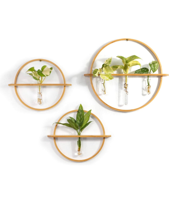 piece wall-mounted propagation vase set, large and medium vases, wooden frame, tubes for plant cuttings, home decor”