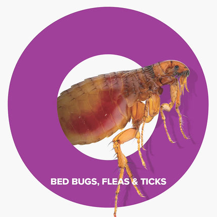 BOP Bed Bug, Flea and Tick Killer, 16.5 oz, Easy to Use Pest Control Spray