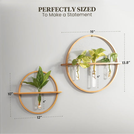 3-Piece Wall-Mounted Propagation Vase Set - Open Box,  New