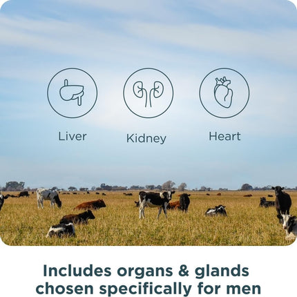 Ancient Nutrition Organ Supplements for Men, Once Daily Grass-Fed and Wild Organ Complex