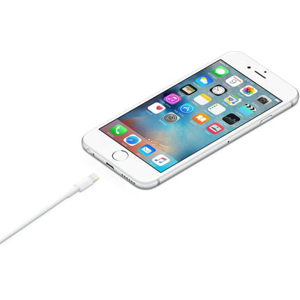 Open Box Apple Lightning to USB Cable (1m)