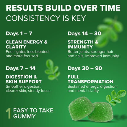 Rosabella Moringa Gummies – Moringa Leaf Extract 1000mg Equivalent Per Serving – Natural Energy & Balance - 30 Count