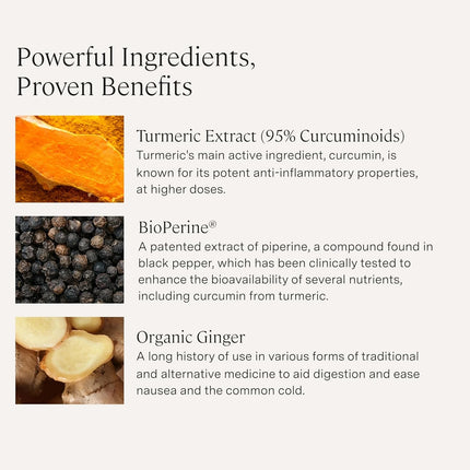 Stonehenge Health Dynamic Turmeric Curcumin with Ginger - 90 ct.