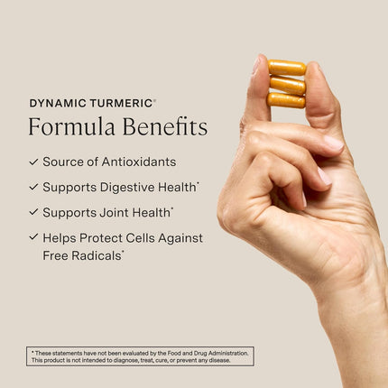 Stonehenge Health Dynamic Turmeric Curcumin with Ginger - 90 ct.