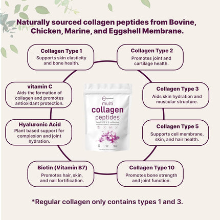 Micro Ingredients Multi Collagen Peptides Powder, 2lb – Hydrolyzed Type I,II,III,V,X with Biotin