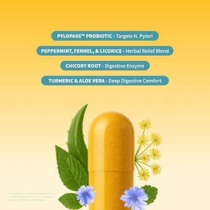 Snap Supplements Gut Health Lipase Supplement with Probiotics for Women & Men, Digestive Enzymes & Prebiotics - Turmeric,
