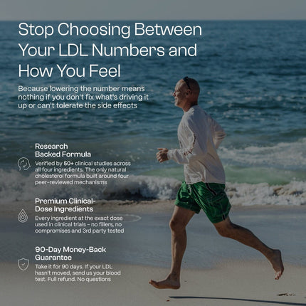 Healthletic Lipids [01] Supplement