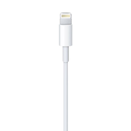 Open Box Apple Lightning to USB Cable (1m)