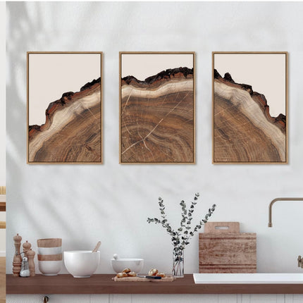 HPINUB Framed Tree Rings Wood Wall Art Set, Modern Beige Wood Stump Wall Décor, New Open Box