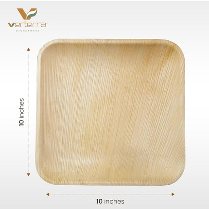 Verterra 10-Inch Square Palm Leaf Plates, 100-Pack - New Open Box