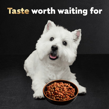 Cesar Porterhouse Flavor Vegetable, Beef and Red Meat Flavor Small Breed Dry Dog Food - 5lbs 01/2027