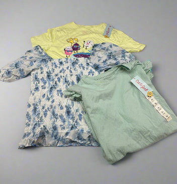 Girls’ 3-Pack Yellow Graphic Tee, Green Lace Sleeve Top, and Blue Floral Smocked Blouse Size XL (14) - New