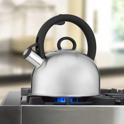 Cuisinart 2qt Stovetop Steam & Soothe Teakettle Stainless Steel CKS-22 New