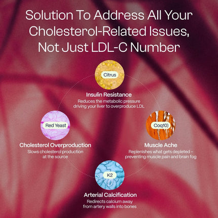 Healthletic Lipids [01] Supplement
