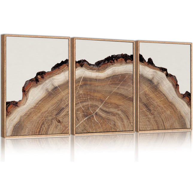 HPINUB Framed Tree Rings Wood Wall Art Set, modern beige wood stump wall décor, new open box”