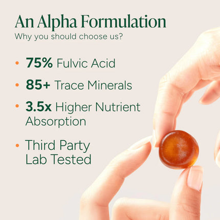 ROOT LABS 10-in-1 Alpha Shilajit Gummies | 4000 mg Himalayan Shilajit + Maca & Tongkat Ali - 120 Gummies
