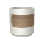 White and Bamboo